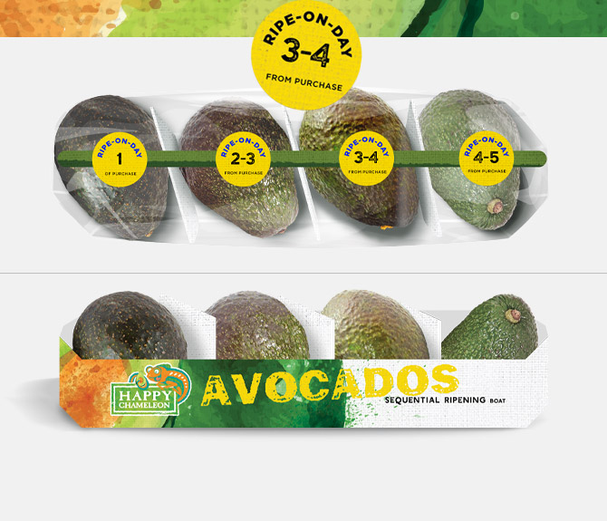 AVOCADO-BOAT 4