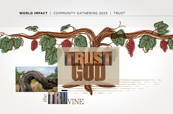 trust-in-the-harvest-theme-elements-3